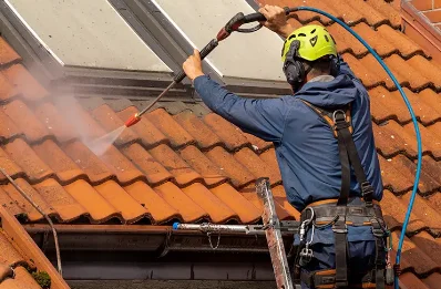 Démoussage et hydrofuge de toiture à Amuré